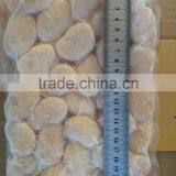 Frozen Vacuum Packing Fresh Scallop in Good Quality thumbnail-2