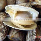 2016 New Season Frozen Vacuum Packed Short Necked Clam thumbnail-6