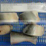 FRESH FROZEN PANGASIUS STEAK OF ALO SEAFOOD Co. thumbnail-5