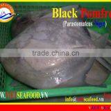 WHOLE ROUND FROZEN BLACK POMFRET thumbnail-1
