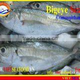 FROZEN BIGEYE SCAD WHOLE ROUND thumbnail-3