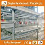 China Factory Price Trade Assurance Chicken Poultry Farm Equipment Layer Cage thumbnail-4