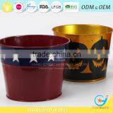 Garden Unique Powder Coated Iron Coloured Plant Pots Colourful Plant Pots thumbnail-2