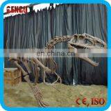 Indoor Playground Dinosaur Skeleton Replicas Craft