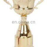 Fashionable Metal Award Trofeos For Souvenir