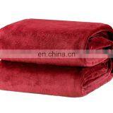 Tex-cel OEM100% Polyester Microfiber Super Soft Worm Touch Solid Flannel Fleece Blanket thumbnail-1