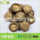 Dried Flower Shiitake thumbnail-2