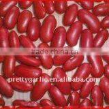 Fresh Red Kidney Bean England Type (RKB)crop 2011 thumbnail-1