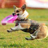 2015 Customized Dog Fly Dicks / Silicone Rubber Foldable Frisbee thumbnail-3