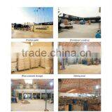 TB351 Water Closet thumbnail-2