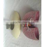 Simulation Model for Medical Research and Students Learning thumbnail-6