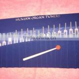 15 pc Human Organ Set Tuning forks therapy