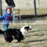 Color Customized Plastic Frisbee With Custom Logo