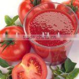 Tomato Paste Complete Plant China