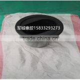 Rubber Lining for Spray Pump