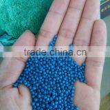 Sygenta Broccoli Seeds thumbnail-1