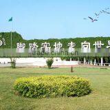 100% Vingin Unbleached Facial Paper thumbnail-5