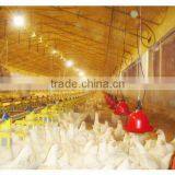 Evaporative Air Curtain for Poultry House