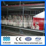 Poultry Equipment Layer Chicken Cage thumbnail-1