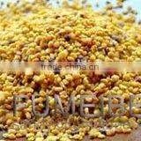 Muti-flower Bee Pollen From China thumbnail-2