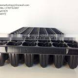 72 Cell Deep Root HIPS Plastic Nersery Seed Starting Tray for SugarCane Seedling Propagation thumbnail-6