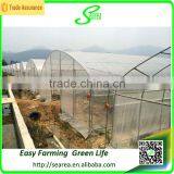 Agricultural Single Span Green Houses thumbnail-4
