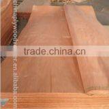 Grade a No Discolor 0.30mm 1220x2440 Decorative Natural Okoume Face Veneer for India thumbnail-6