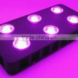 540W COB LED Grow Light for Greenhouse Hydroponics Greenhouse Ideal to Replace the 1000W HPS HID thumbnail-5