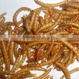 High Protein Fish Food,Koi Food Mealworm thumbnail-1