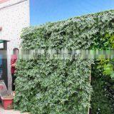 SJ0409017Fake Plastic Leaf Fence for Wall Decoration/ Decorative Plant Wall Artificial thumbnail-5