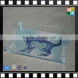 Customzied Acrylic Food Serving Plate Nice Acrylic Serving Tray From China Manufacturer thumbnail-2