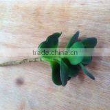 Home and Outdoor Garden Edging Christmas Decoration 60cm or 24inches Height Artificial Small Grass for Green Wall E04 1053 thumbnail-5