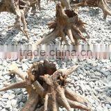 Wholesale Driftwood thumbnail-1