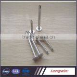 Iron Material Varnish Sprayed Farming Tools&Garden Tools Nail&Wire thumbnail-3