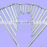 Concrete Nails China thumbnail-1