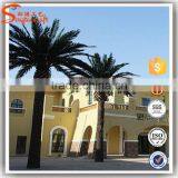 Artificial Palm Treel and Landscaping Golden Palm Tree Resort Promotion thumbnail-2