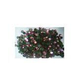 Sell Hot-Fix Rhinestone thumbnail-1