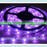 China Supplier SMD Holiday LED Lighting 110 220V 60leds/m Dmx Rgb Led Strip Light thumbnail-4