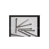 Common Nails