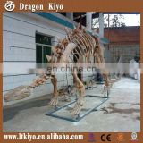 Amusement Park Dinosaur Skeleton Fossil for sale