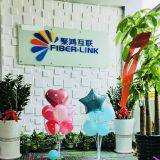 Shenzhen Fiber-Link Technology Co., Ltd. company overview - view 1 thumbnail