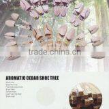 Shoe Tree thumbnail-1