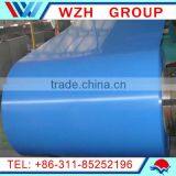 Ppgi/ Prepainted Galvanized Steel Coils / Color Steel Coil Made in China thumbnail-3