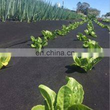 China Factory Manufacture Landscape Fabric Green Ground Cover Plastic Mulch Film thumbnail-3