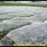 HDPE transparent agricultural anti-aphid net/insect net