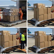Rapid 5-Day Air Freight: China to Canada Door-to-Door Specialist thumbnail-5