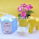 Lactobacillus Cup Fruit Aiyu Seed Jelly for Gift 260g thumbnail-3