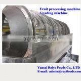 Cherry Grading Machine / Cherry/tomato Grading Machine thumbnail-6