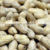 High Quality Peanut Kernels From China thumbnail-1
