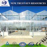 Venlo Tempered Glass/float Glass Greenhouse With Hydroponic Growing System thumbnail-4